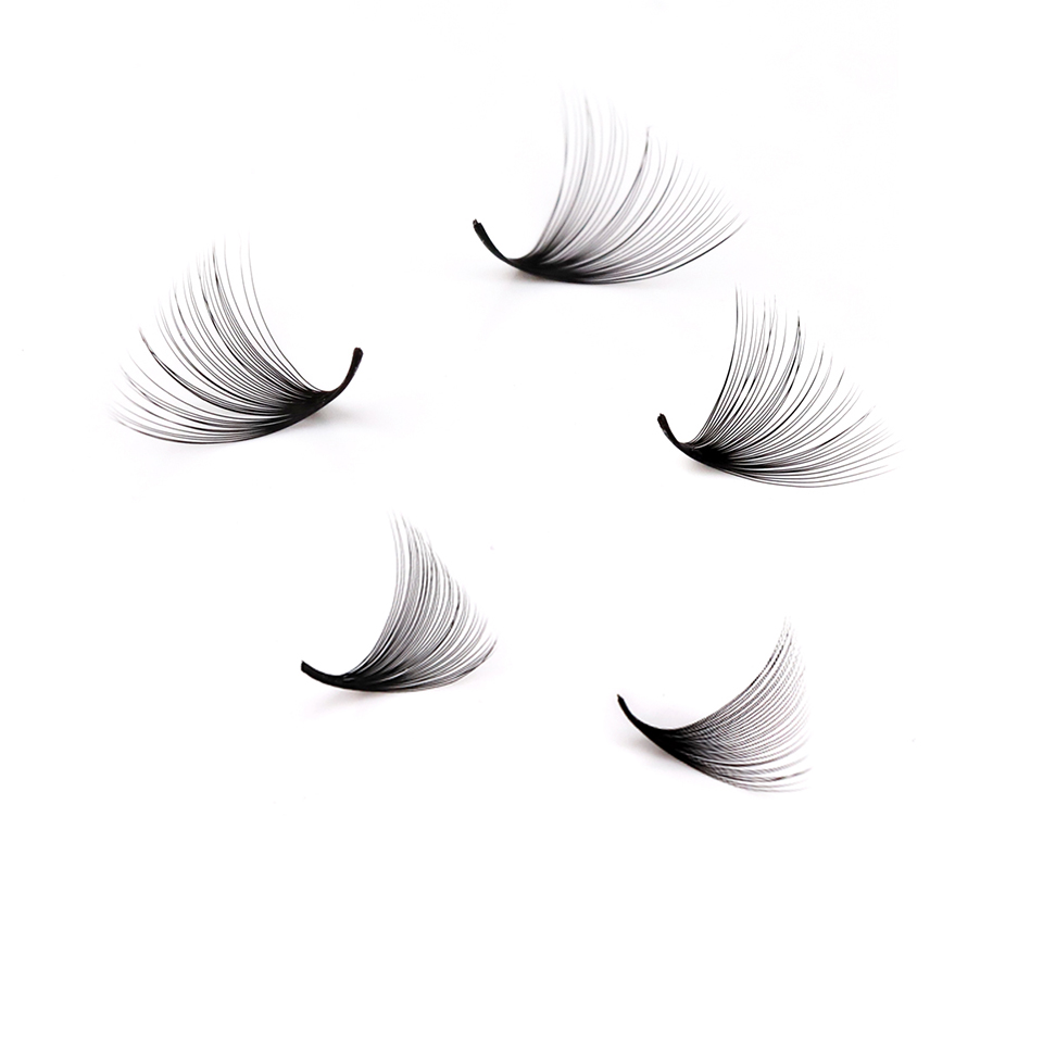 Lashprofessor XL Tray 3D 4D 5D - Eyelash Extension Review recension och pris