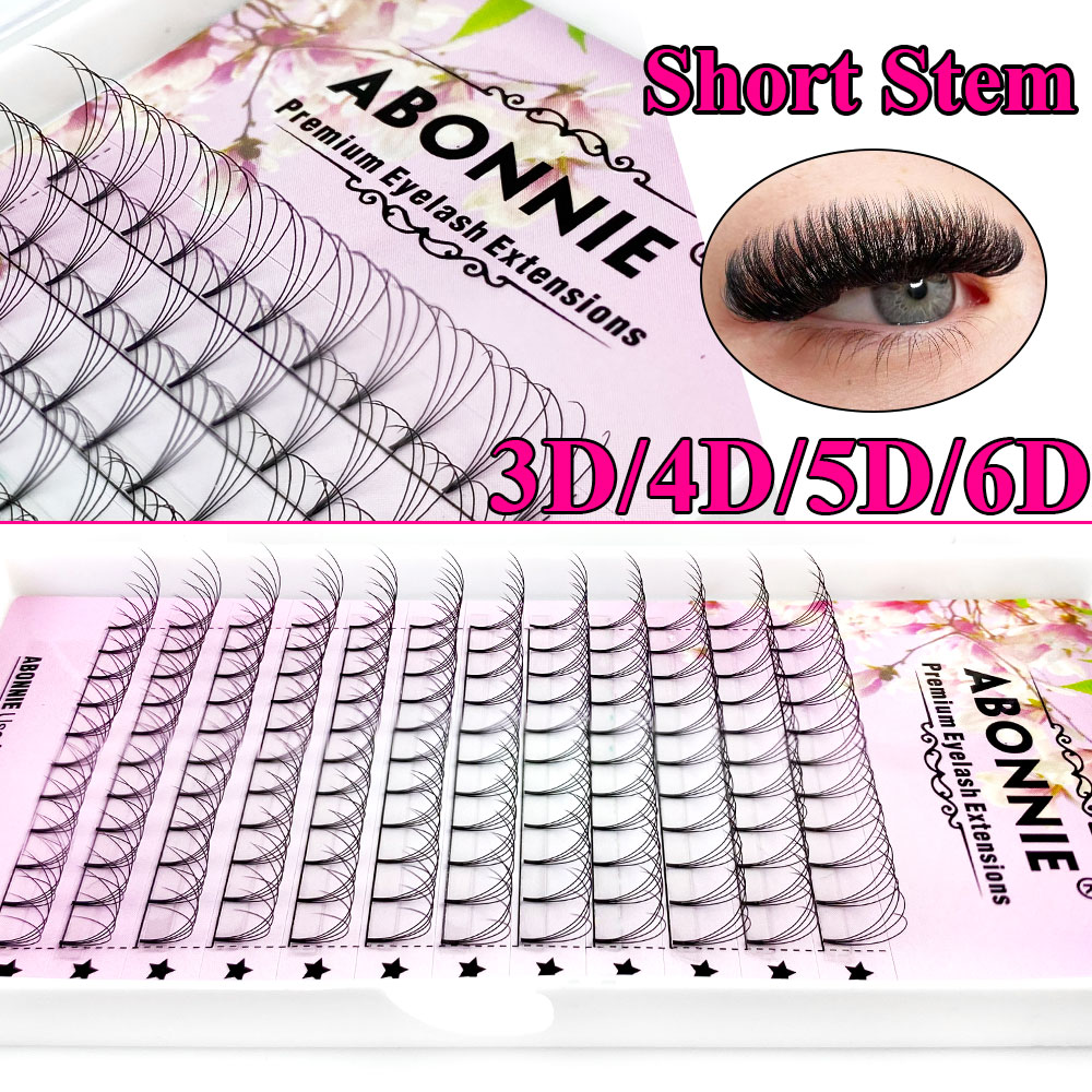 Abonnie 6D Narrow Fan Premade  - Eyelash Extension Review recension och pris